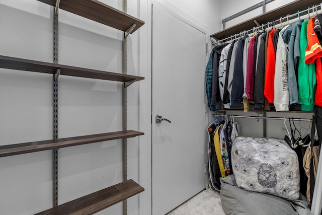 6298 E Summit View Dr, Springfield, MO 65809 - walk in closet featuring carpet floors