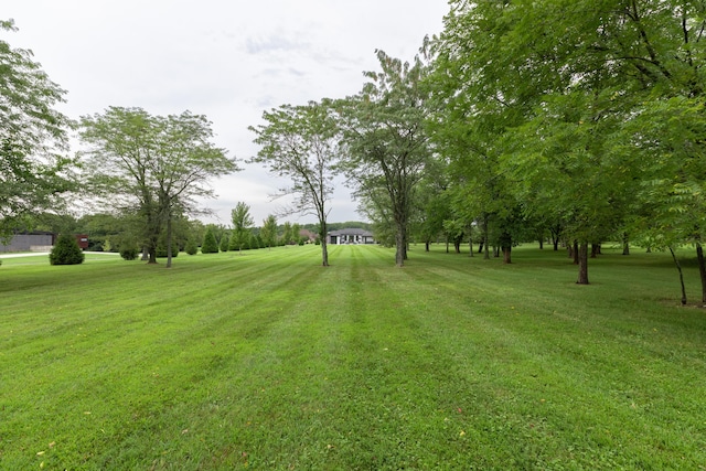 6298 E Summit View Dr, Springfield, MO 65809 - view of green lawn