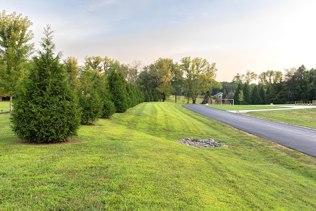 6298 E Summit View Dr, Springfield, MO 65809 - view of street