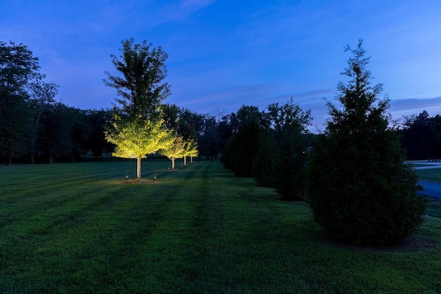 6298 E Summit View Dr, Springfield, MO 65809 - view of grassy yard