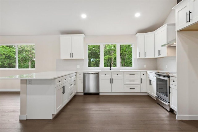 654 Rochester Rd, Sparta, MO 65753 - kitchen featuring stainless steel appliances, a peninsula, healthy amount of natural light, backsplash, and recessed lighting