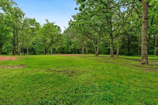654 Rochester Rd, Sparta, MO 65753 - view of green lawn with a wooded view