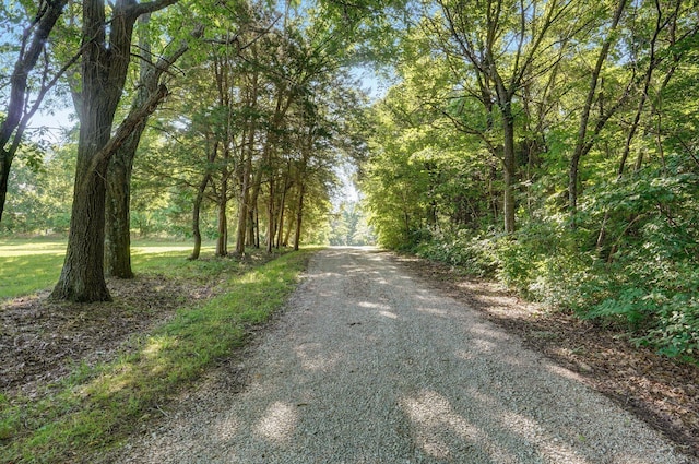 3711 W Farm Road 14, Brighton, MO 65617 - view of street with a forest view