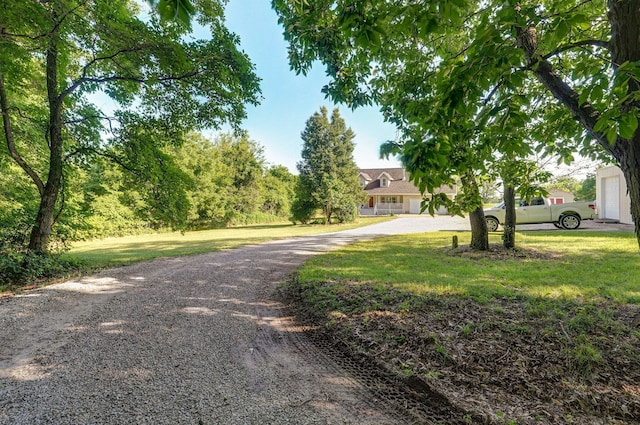 3711 W Farm Road 14, Brighton, MO 65617 - view of dirt / gravel driveway