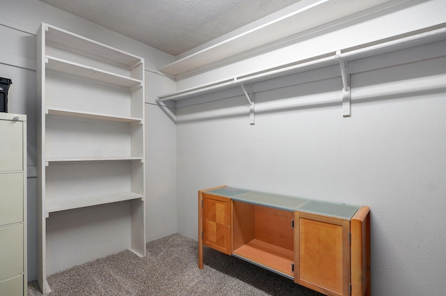 3711 W Farm Road 14, Brighton, MO 65617 - spacious closet featuring carpet flooring