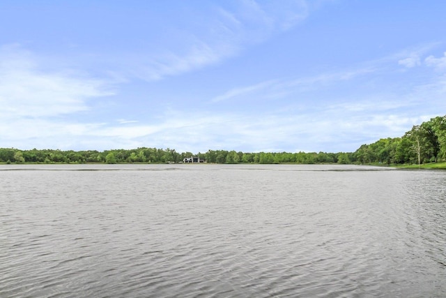 4808 County Road 8940, West Plains, MO 65775 - photo 11