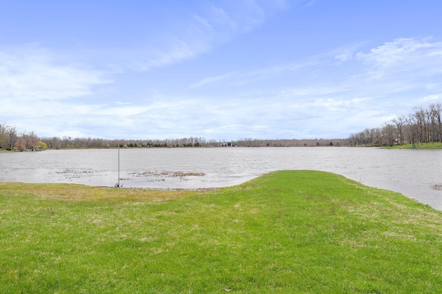 4808 County Road 8940, West Plains, MO 65775 - photo 9
