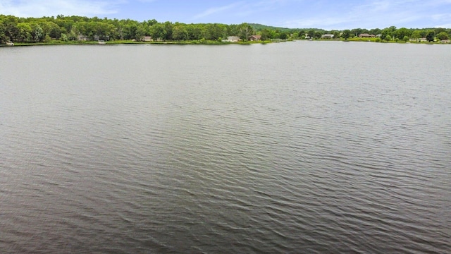4808 County Road 8940, West Plains, MO 65775 - photo 8