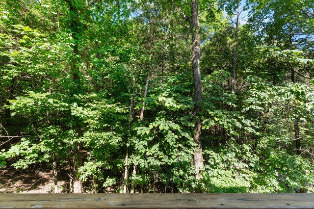 143 Gettysburg Ave, Branson, MO 65616 - photo 31