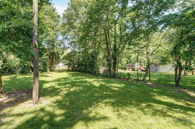 921 S Nettleton Ave, Springfield, MO 65806 - view of yard