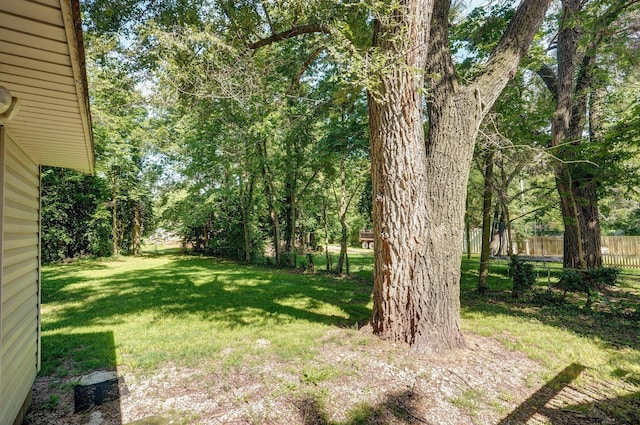 921 S Nettleton Ave, Springfield, MO 65806 - view of yard