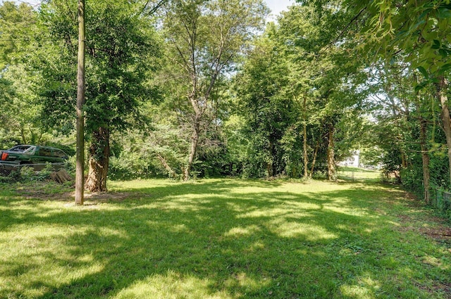921 S Nettleton Ave, Springfield, MO 65806 - view of yard