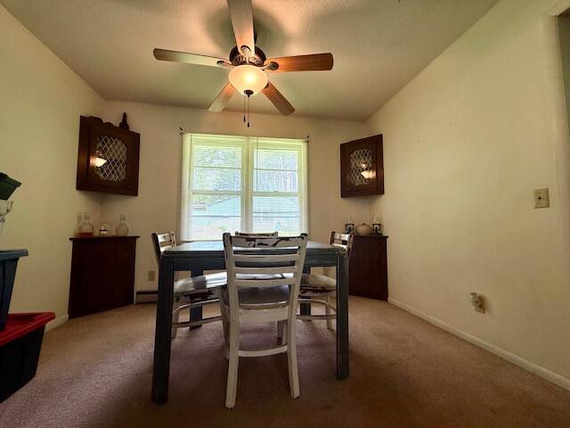 602 W 4th St, Mountain View, MO 65548 - photo 10