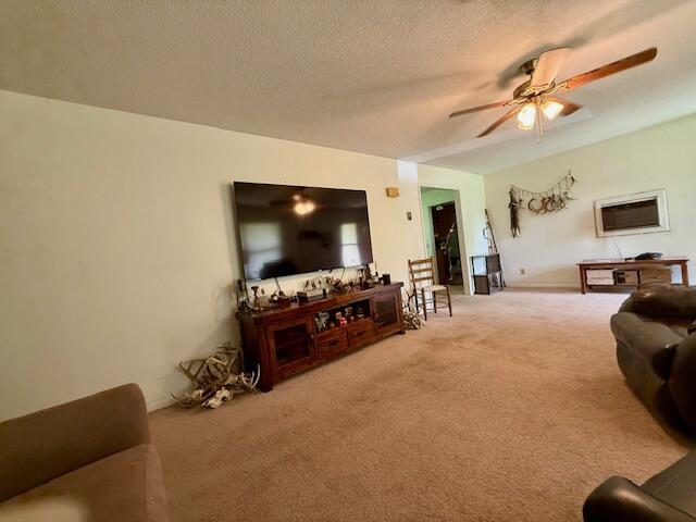 602 W 4th St, Mountain View, MO 65548 - photo 8