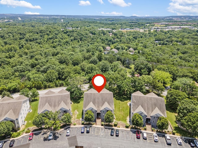 151 Vixen Cir Unit L, Branson, MO 65616 - bird's eye view of a heavily wooded area