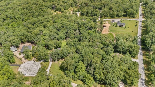 155 Elk Creek Rd, Highlandville, MO 65669 - photo 48