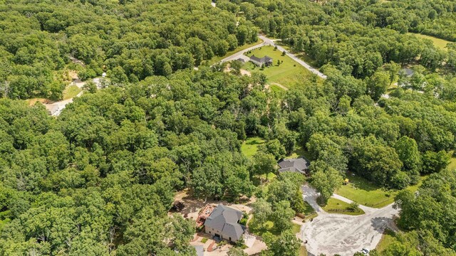 155 Elk Creek Rd, Highlandville, MO 65669 - photo 49