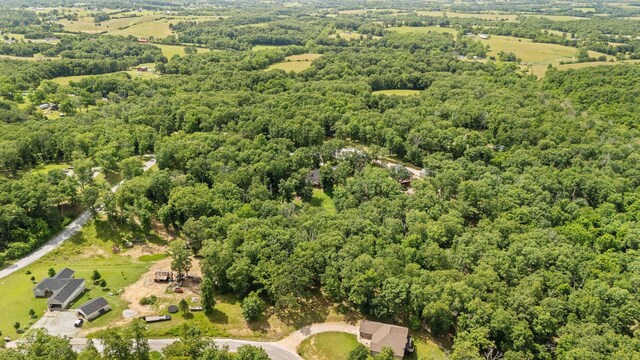 155 Elk Creek Rd, Highlandville, MO 65669 - photo 51