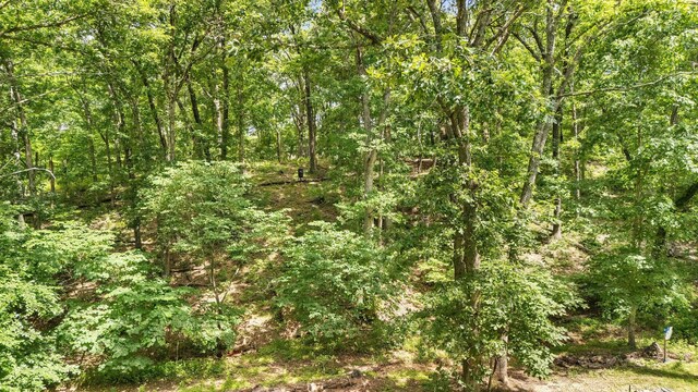 155 Elk Creek Rd, Highlandville, MO 65669 - photo 56