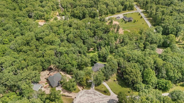 155 Elk Creek Rd, Highlandville, MO 65669 - photo 47