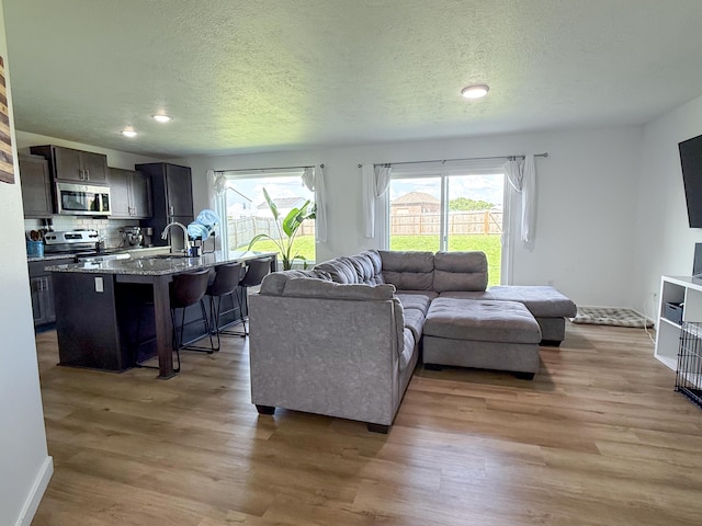 404 N Pine Leaf Rd, Nixa, MO 65714 - living room featuring healthy amount of natural light, light wood-type flooring, a textured ceiling, and recessed lighting