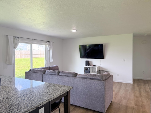404 N Pine Leaf Rd, Nixa, MO 65714 - living area with light wood-style flooring and a textured ceiling
