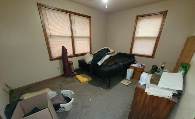 311 W Pine St, El Dorado Springs, MO 64744 - bedroom featuring multiple windows and carpet