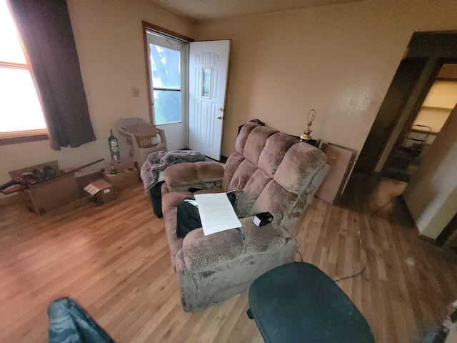 311 W Pine St, El Dorado Springs, MO 64744 - living room featuring light wood-type flooring and plenty of natural light