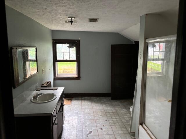 148 E Front St, Fordland, MO 65652 - full bath with vanity, lofted ceiling, and a textured ceiling