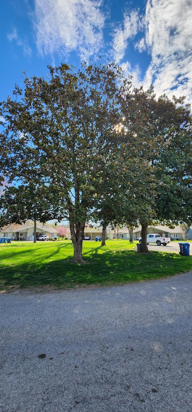 16 Magnolia Ct Unit B, Branson, MO 65616 - view of front of home featuring a front yard