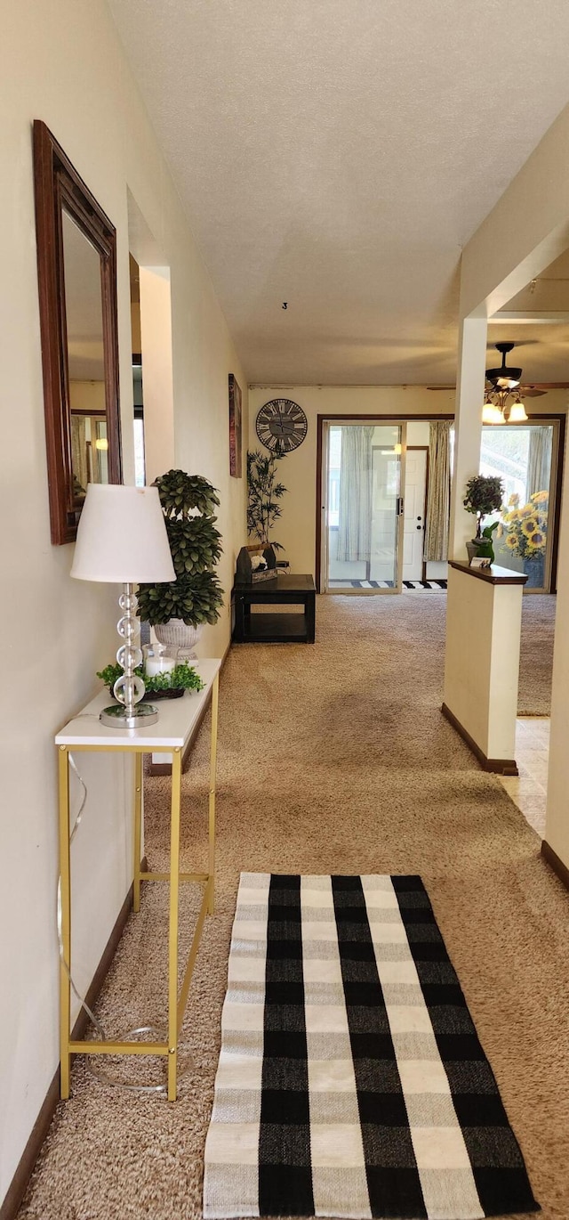 16 Magnolia Ct Unit B, Branson, MO 65616 - corridor featuring carpet floors, healthy amount of natural light, and a textured ceiling