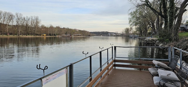 16 Magnolia Ct Unit B, Branson, MO 65616 - dock with a water view