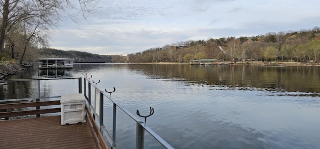 16 Magnolia Ct Unit B, Branson, MO 65616 - dock with a water view and a wooded view