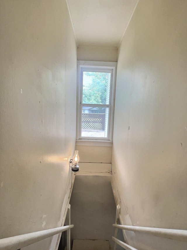 505 Sycamore St, Van Buren, MO 63965 - view of staircase