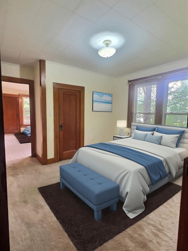 505 Sycamore St, Van Buren, MO 63965 - bedroom with carpet floors