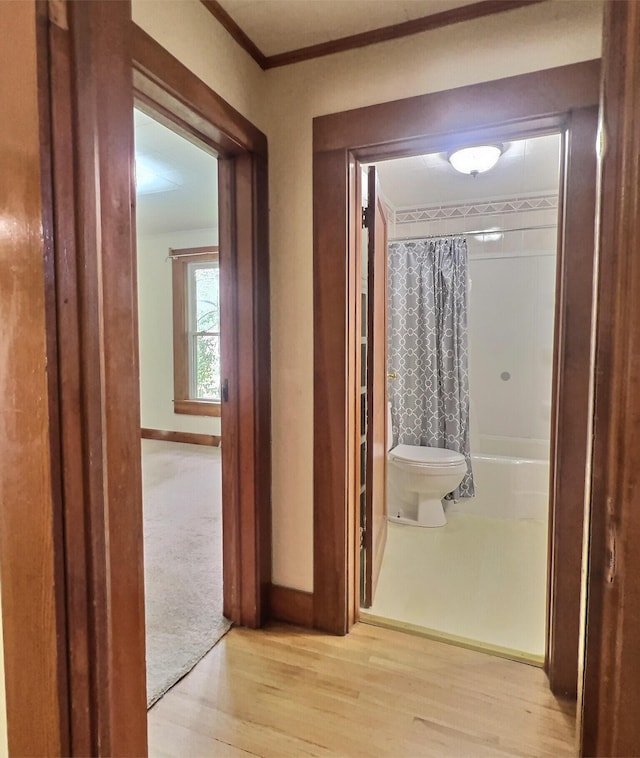 505 Sycamore St, Van Buren, MO 63965 - corridor with wood finished floors and ornamental molding