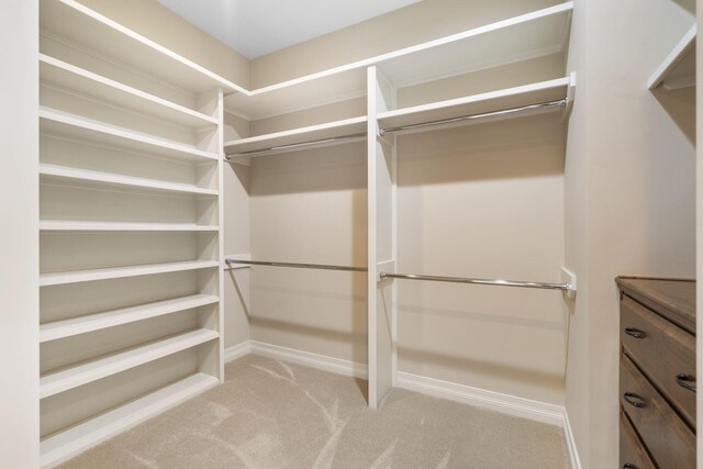755 N Fallbrooke Ter, Springfield, MO 65802 - walk in closet with carpet floors