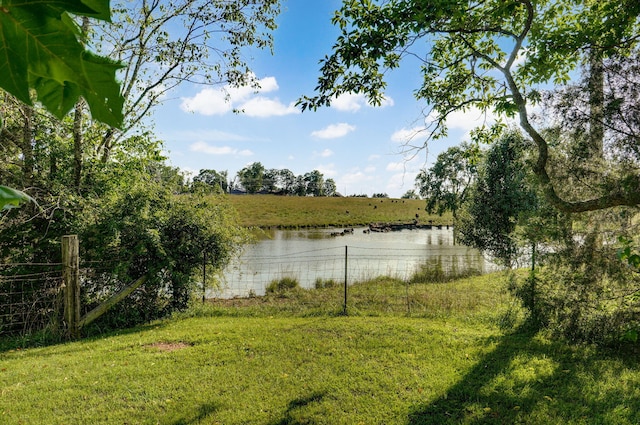 263 Crystal Ave, Sparta, MO 65753 - view of yard featuring a water view