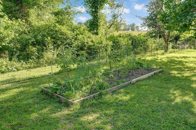 263 Crystal Ave, Sparta, MO 65753 - view of yard with a vegetable garden