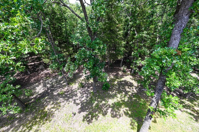 23736 Cedar Haven Cir, Pittsburg, MO 65724 - photo 44