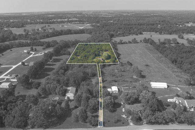 1917 Willoughby Rd, Clever, MO 65631 - view of property location featuring a forest and property parcel outlined