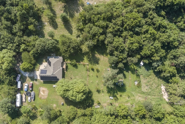 1917 Willoughby Rd, Clever, MO 65631 - aerial view of property and surrounding area