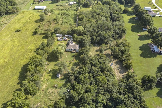 1917 Willoughby Rd, Clever, MO 65631 - view of property location with rural landscape