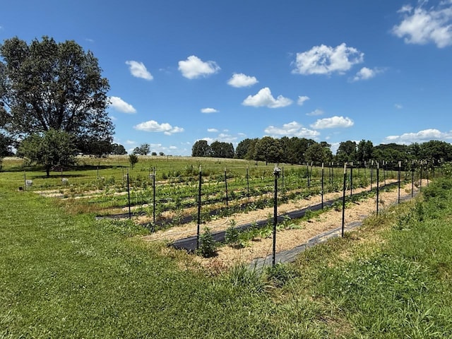 16051 Mo 142, Thayer, MO 65791 - view of yard featuring a rural view and a vegetable garden
