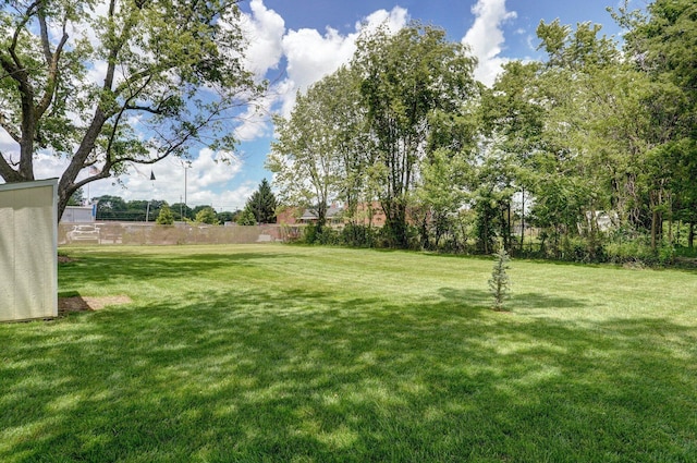 1841 E Dale St, Springfield, MO 65803 - view of yard