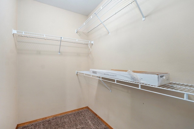 1603 W Robin St, Ozark, MO 65721 - walk in closet featuring carpet floors