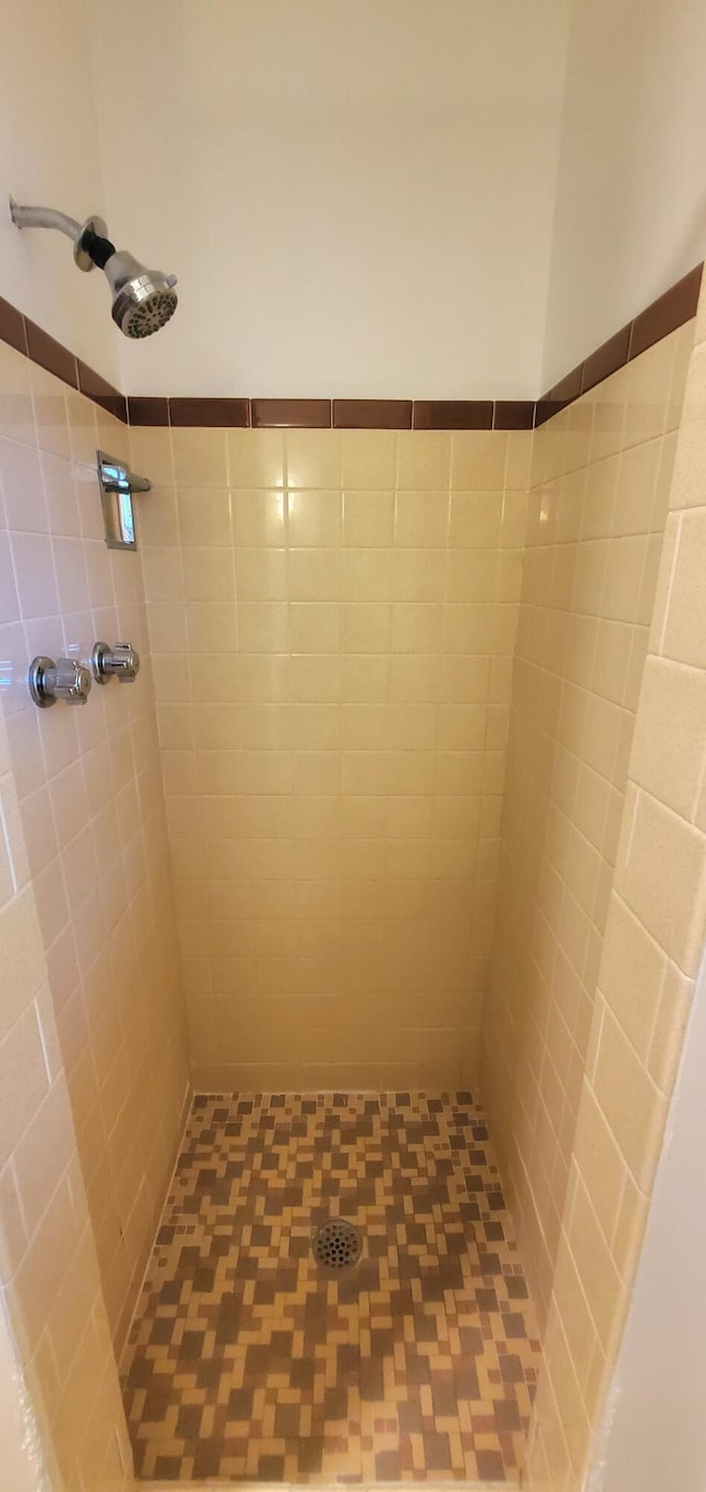 918 E Mcgee St, Springfield, MO 65807 - full bath featuring tiled shower