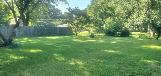 918 E Mcgee St, Springfield, MO 65807 - view of yard