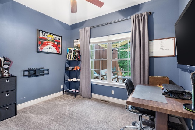 253 Cedar Glade Dr, Branson West, MO 65737 - office space featuring carpet floors and a ceiling fan