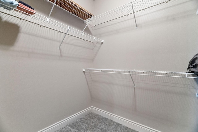 253 Cedar Glade Dr, Branson West, MO 65737 - view of spacious closet